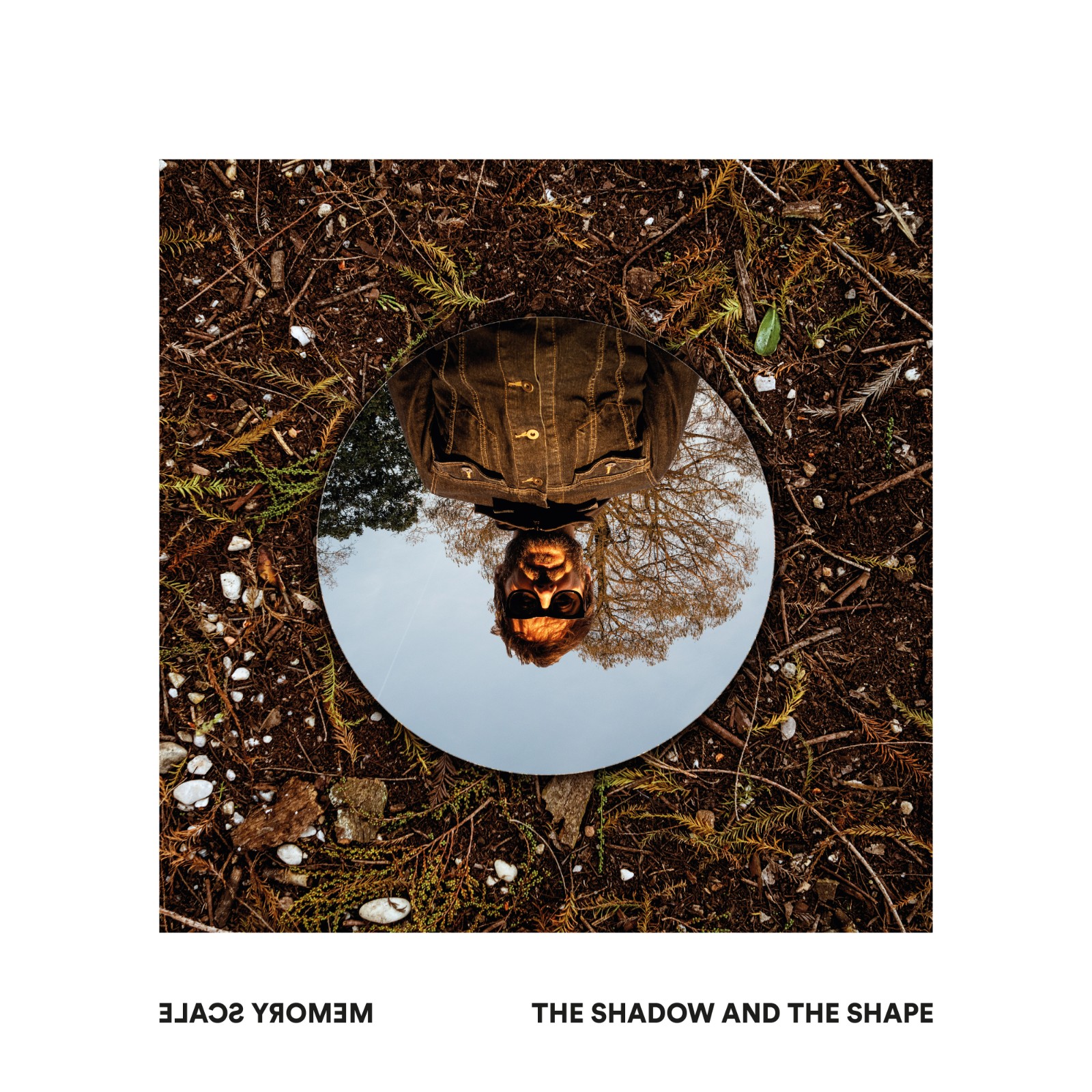 The Shadow And The Shape